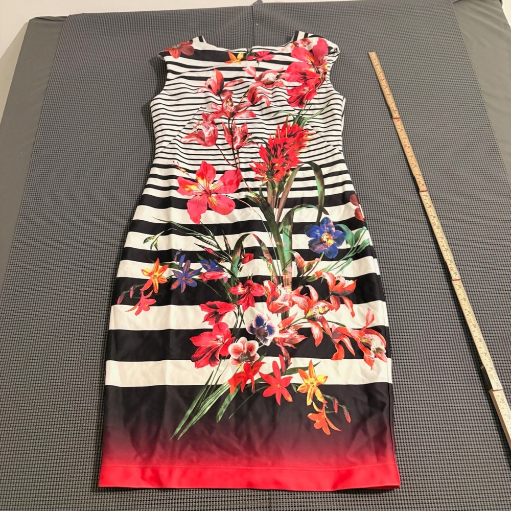 Gabby Skye Womens Size 10 Floral Stripe Sleeveless Sheath Dress Black White Red